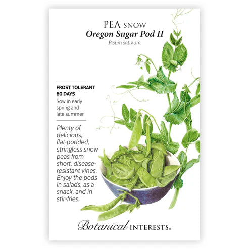Pea-Snow Oregon Sugar Pod