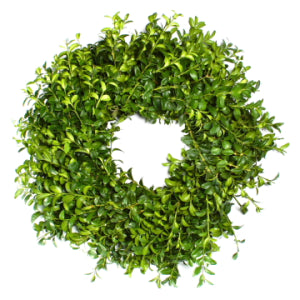 Wreath-Boxwood 24"