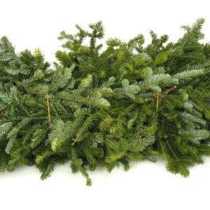 Christmas-Fraser Fir Greens Bundle 40Lb