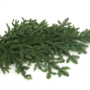 Bundle-Noble Fir