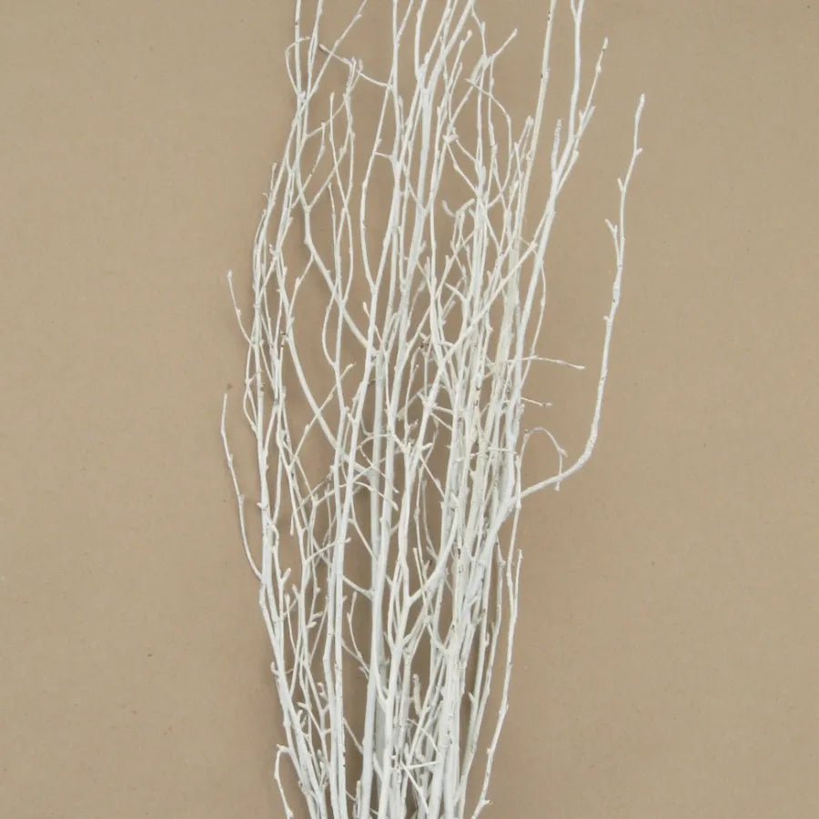 Branch-Birch White 36-48"