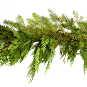 Garland-Cedar/Douglas Linear Foot