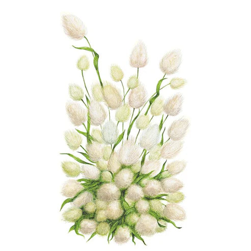 Grass-Bunny Tails