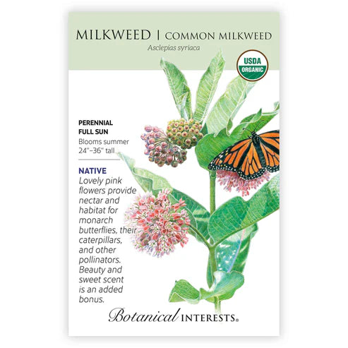 Milkweed-Common