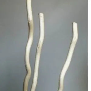 Branch-Kuwa Bleached 43-46"