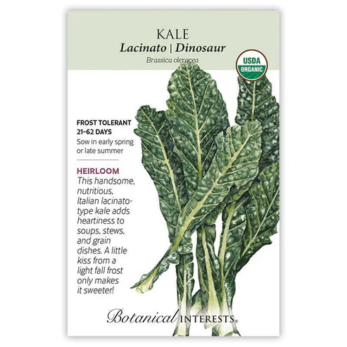Kale-Lacinato/Dinosaur