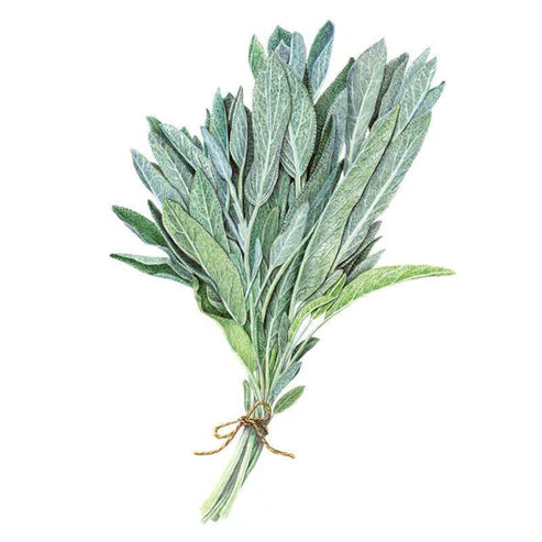 Sage-Broadleaf Org
