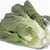 Cabbage-Sweet Thang 3.5"