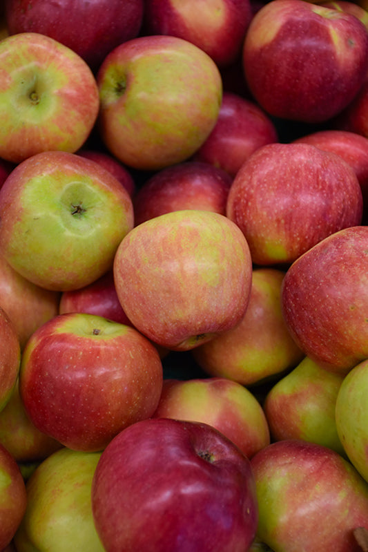 Apple-Macoun 20CP