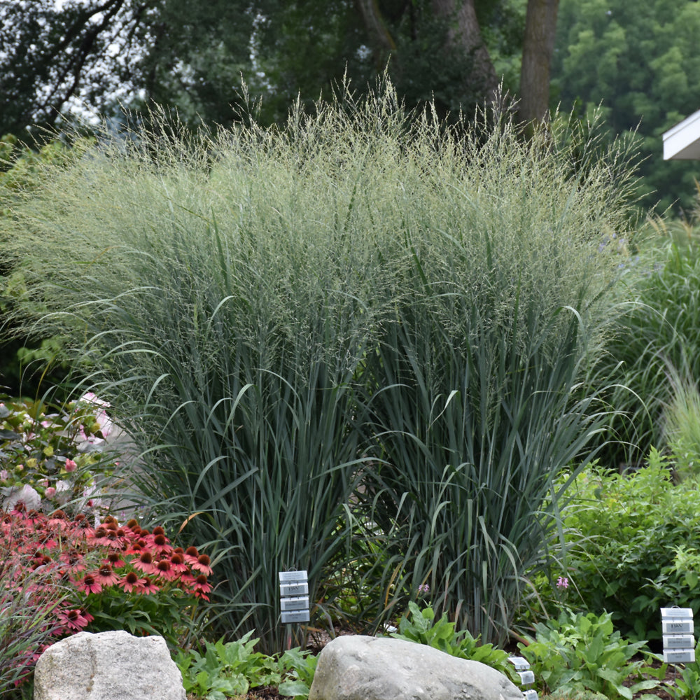 Grass-Totem Pole 1C