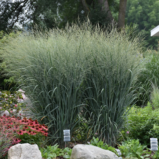 Grass-Totem Pole 1C