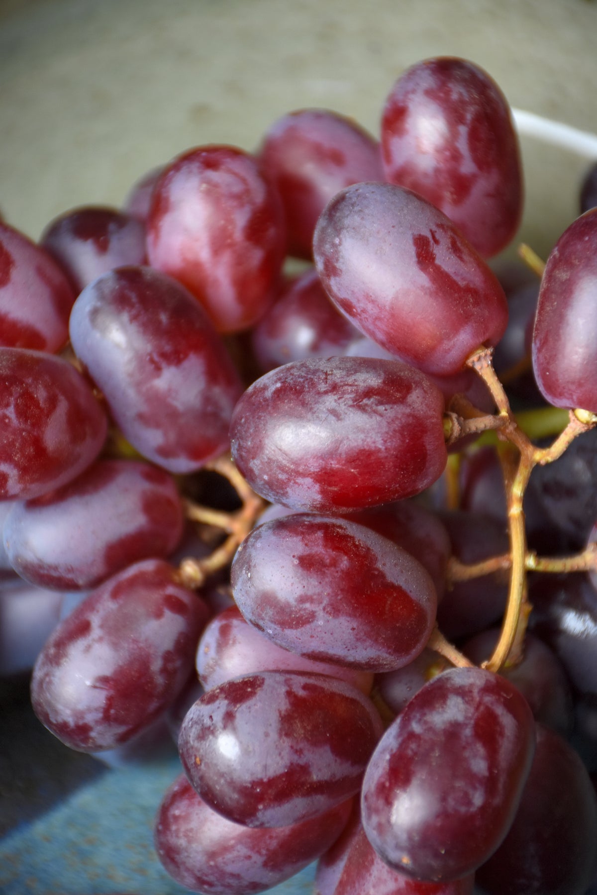 Grape-Reliance Pink Seedless 2C