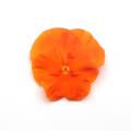 Pansy-Matrix Deep Orange 6 Pack