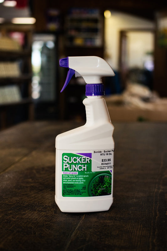 Bonide-Sucker Punch RTU 16 Oz.