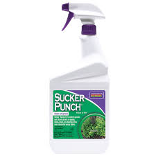 Bonide-Sucker Punch RTU 16 Oz.