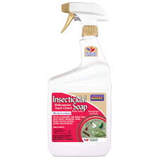 Bonide-Insecticidal Soap 12 oz