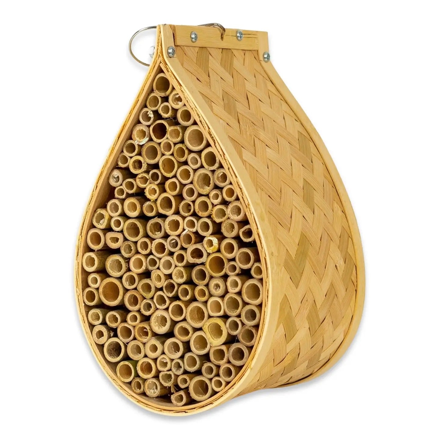 Bee House-Mason Home & Hive