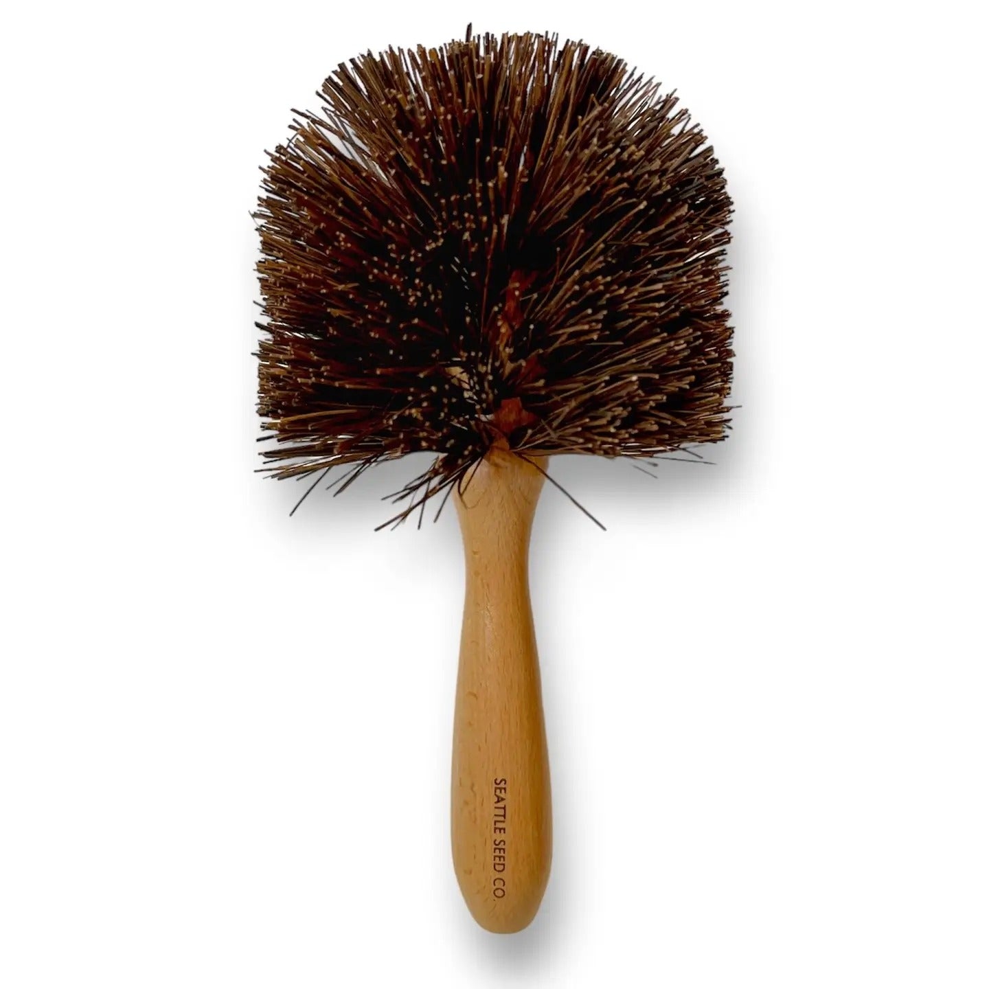Brush-Plant Pot Cleaning