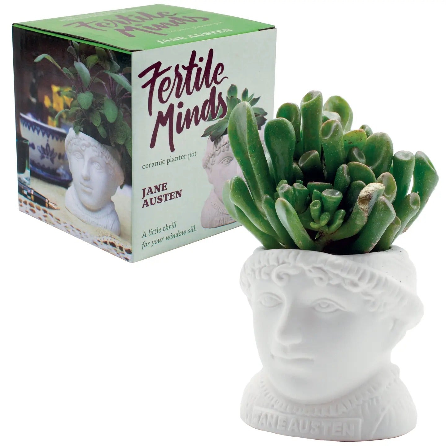 Planter-Jane Austen