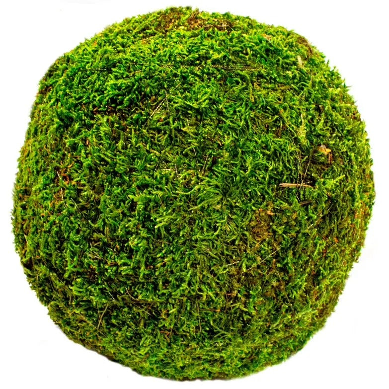 Moss-Balls 8"