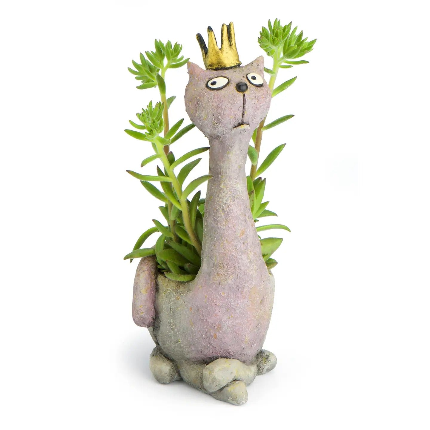 Planter-Maisie Cat
