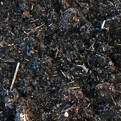 Compost-Mushroom 1CY