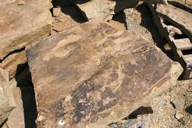 Flagstone-Black Hills Rustic 2"