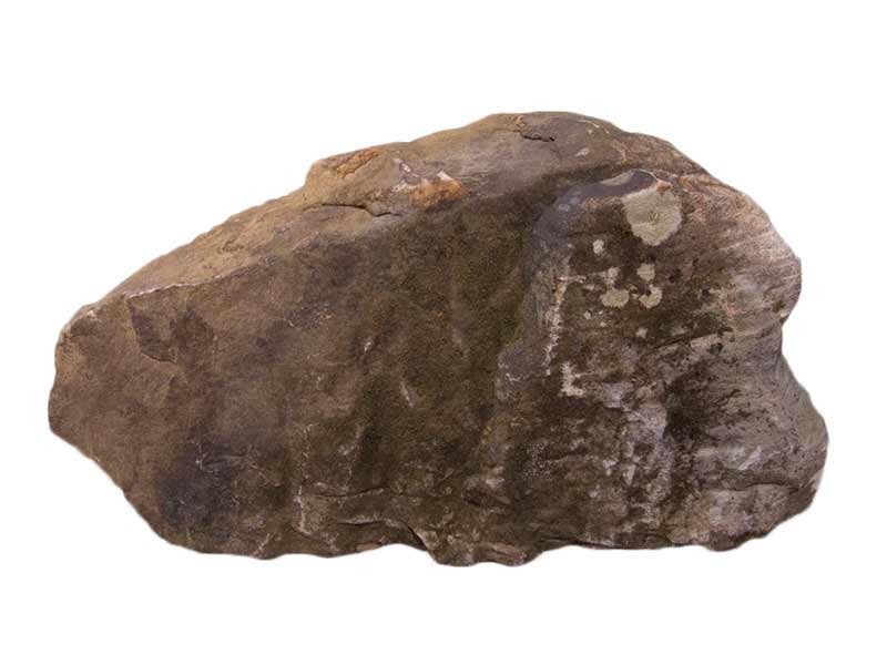 Mossy Mountain Ledge 636 Lb