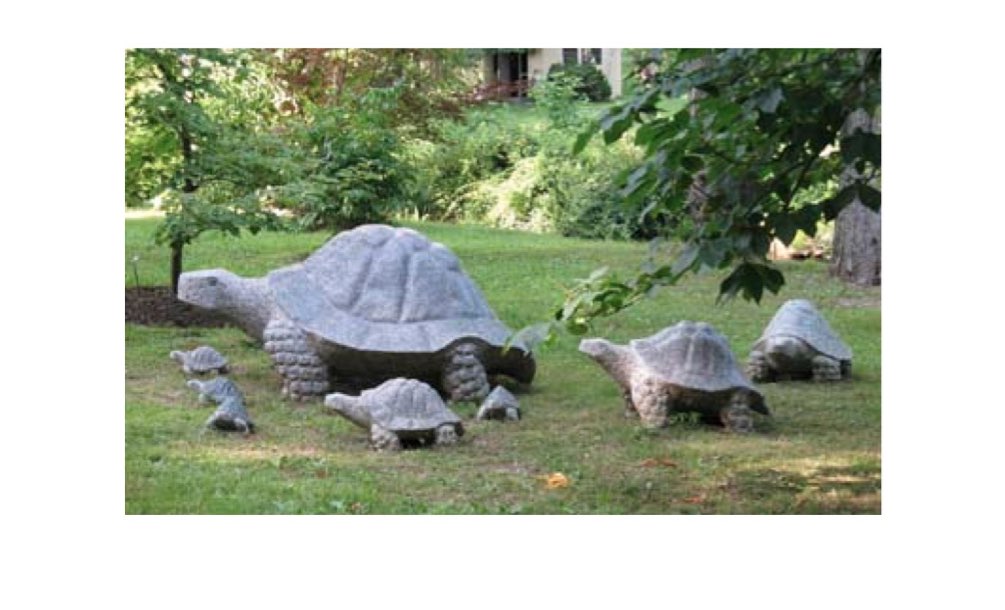 Tortoise Granite Green 24"