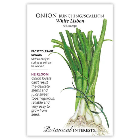 Onion-Bunching Lisbon