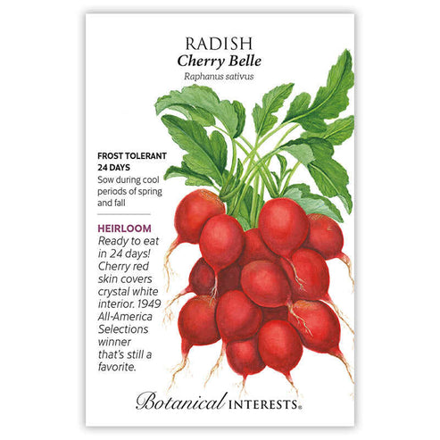Radish-Cherry Belle