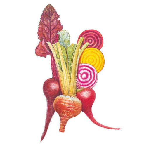 Beet-Gourmet Blend