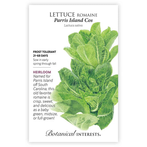 Lettuce-Romaine Parris Isle Org