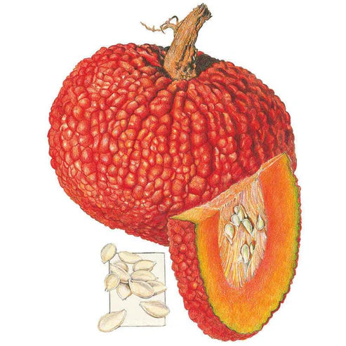 Pumpkin-Red Warty Thing