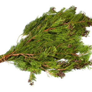 Bundle-Cedar Blue Coned