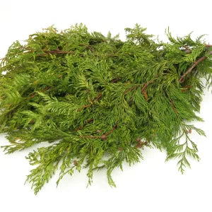 Bundle-Cedar Variegated
