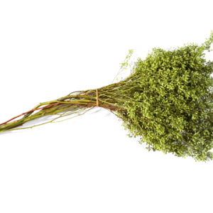 Greens-Eucalyptus Seeded Naked