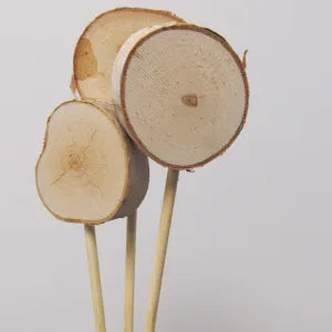 Birch-Mini Lollipop on Stem 24"
