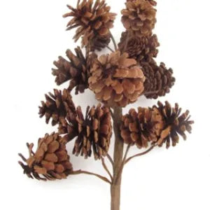 Pine Cone-Multi Cone Spray 24"