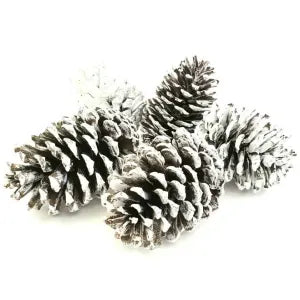 Christmas-Pine Cone Sugar White Each