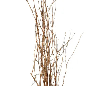 Branch-Birch Copper 36-48"
