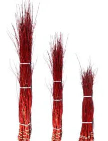 Dogwood-Cardinal Red 40-48"