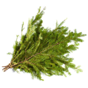 Bundle-Douglas Fir