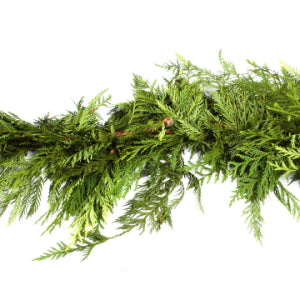 Garland-Western Cedar Linear Foot