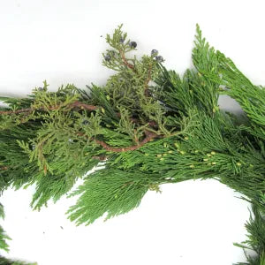Garland-Cedar/Princess Pine Linear Foot