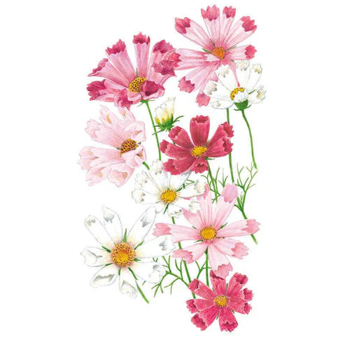 Cosmos-Sea Shells Blend