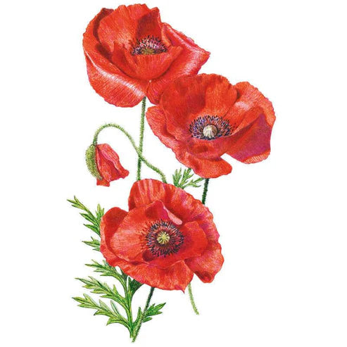 Poppy-Corn American Legion