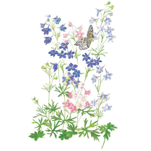 Delphinium-Butterfly Blend