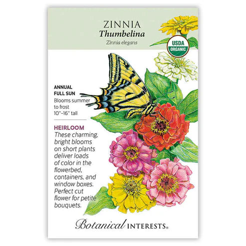 Zinnia-Thumbelina