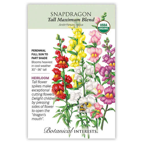 Snapdragon-Tall Maximum